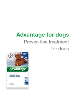 Advantage For Dogs