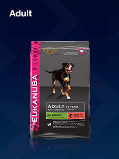 Eukanuba Adult Dog