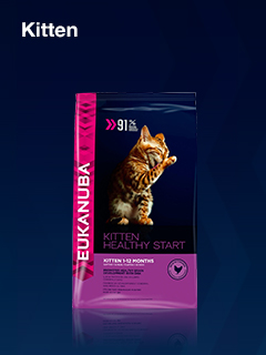 Eukanuba Kitten