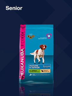 Eukanuba Senior Dog