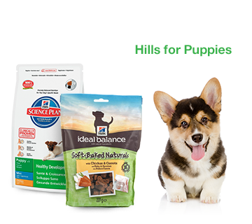 Hills For Puppies