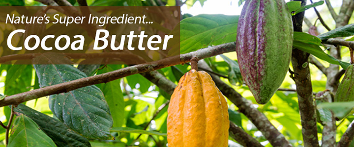 Nature's Super Ingredient Cocoa Butter