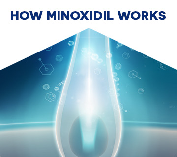 How Minoxidil Works